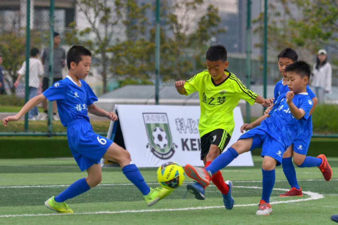 生的概率 生的概率